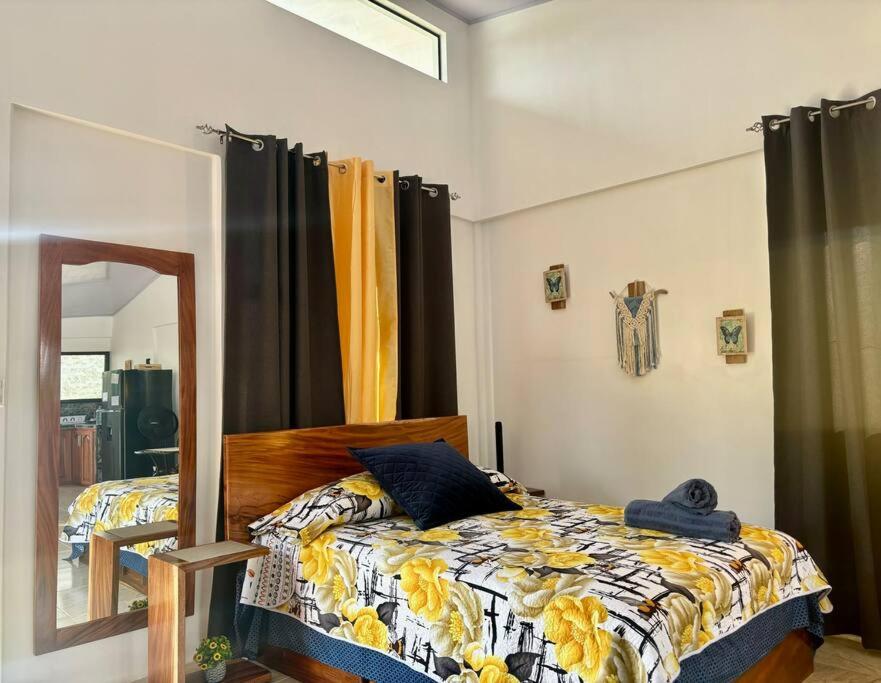 Aparta Studio Jardín Alado
