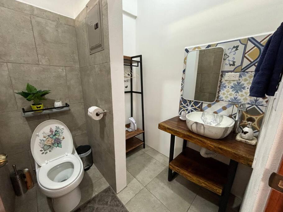 Aparta Studio Jardín Alado