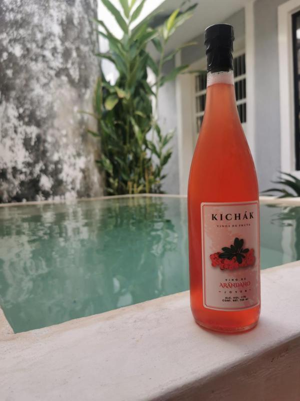 Chichipato Casa Boutique view 4