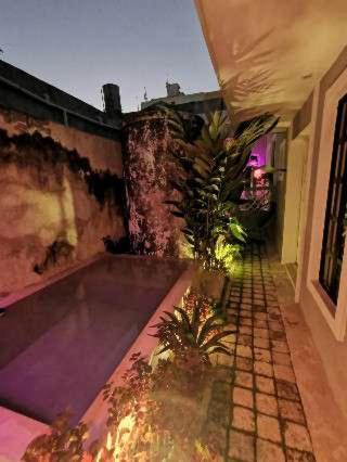 Chichipato Casa Boutique view 5