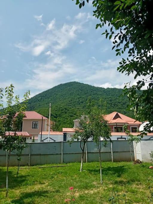Cheerful 2-bedroom house with private garden