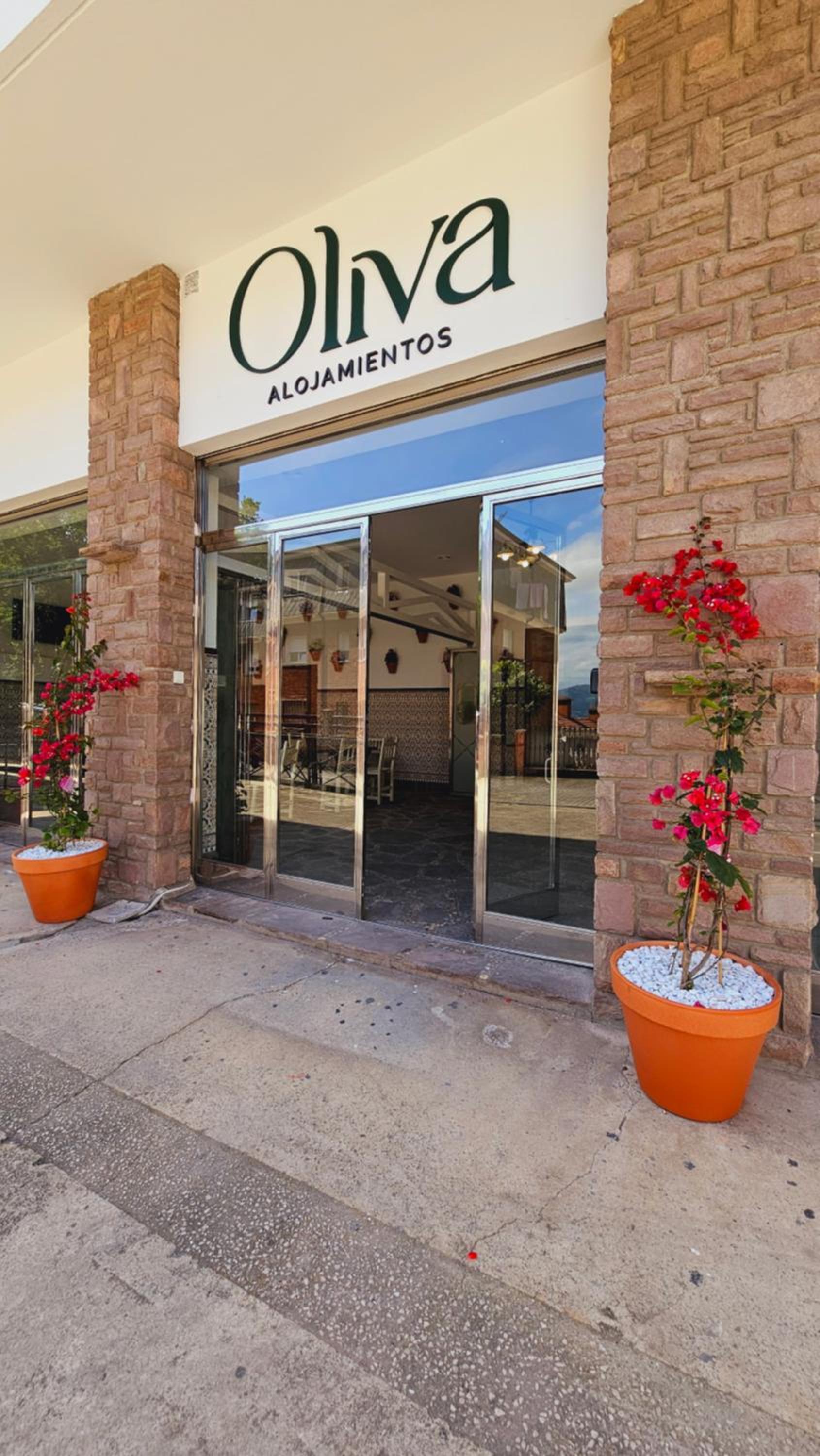 Oliva Rooms 3000