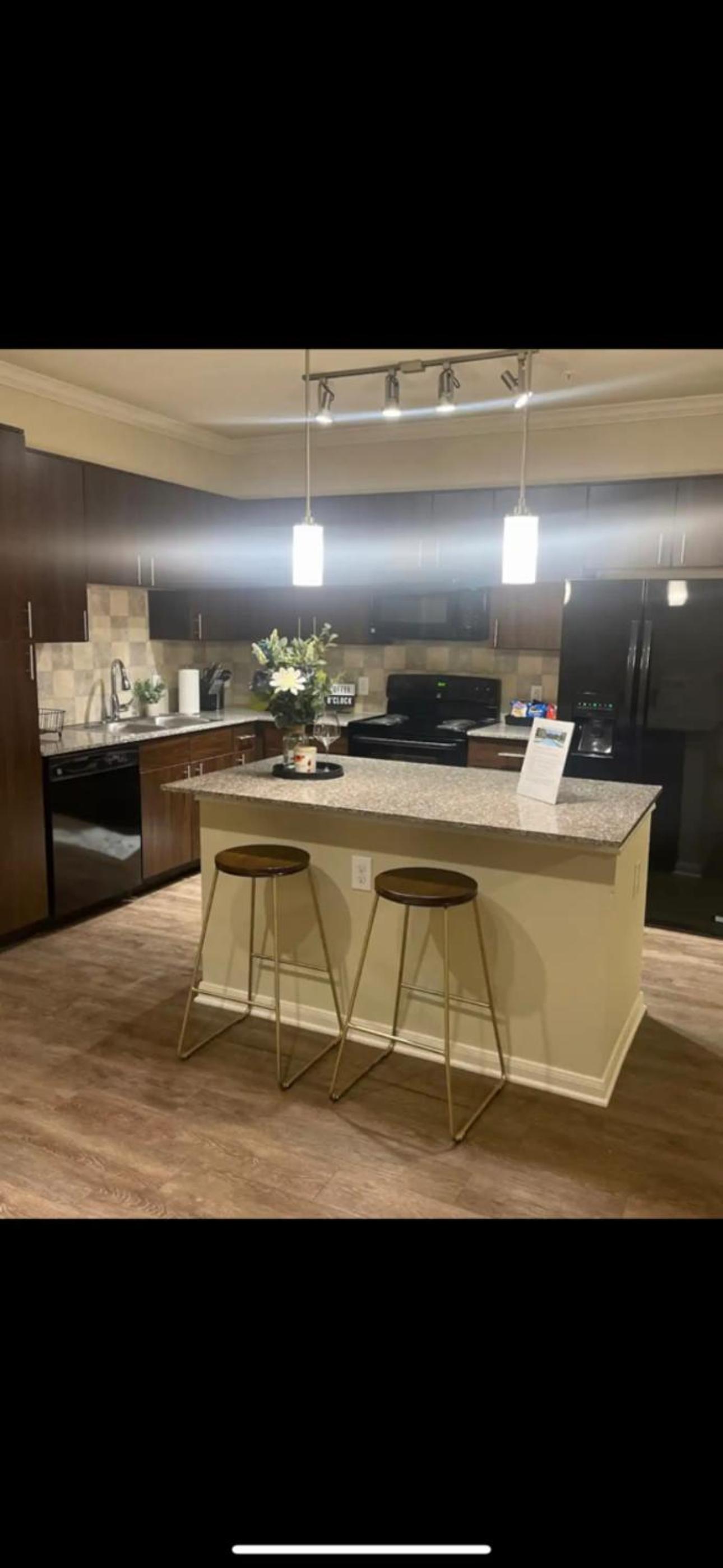 Houston apartment near downtown