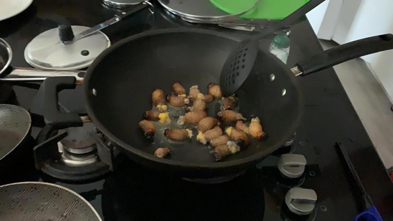 Birdsong lodge