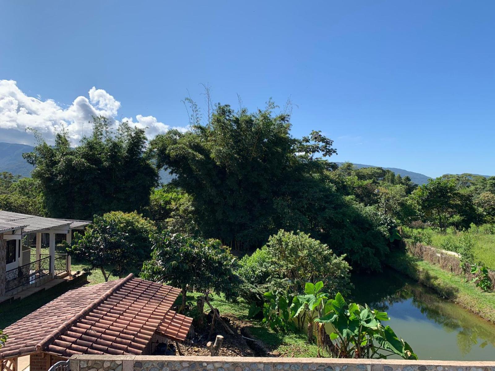 Birdsong lodge