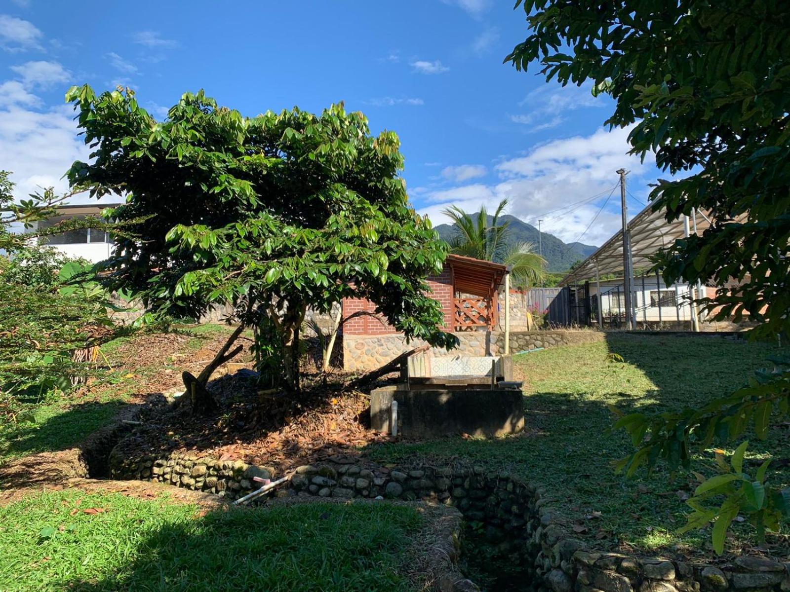 Birdsong lodge
