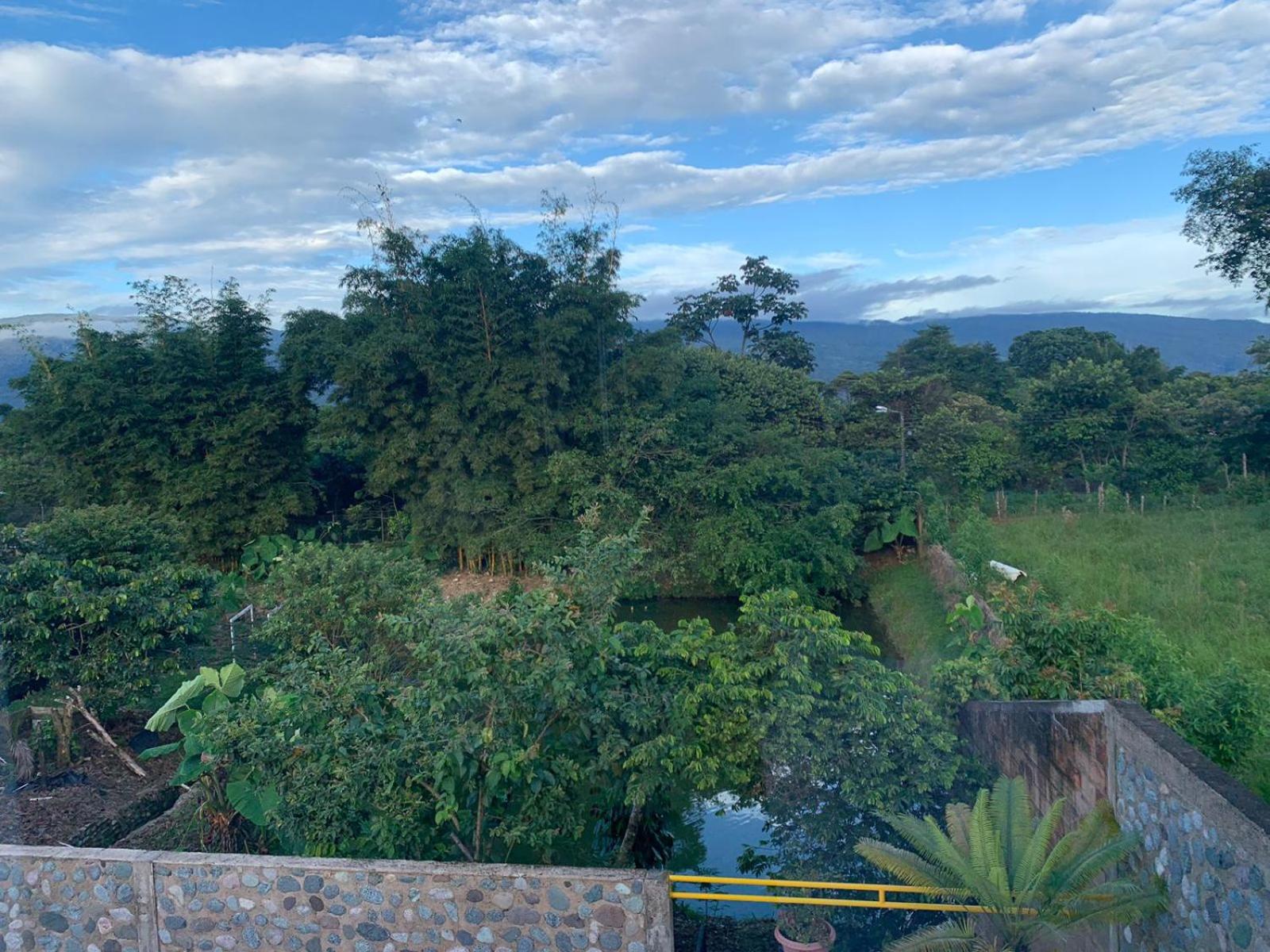 Birdsong lodge