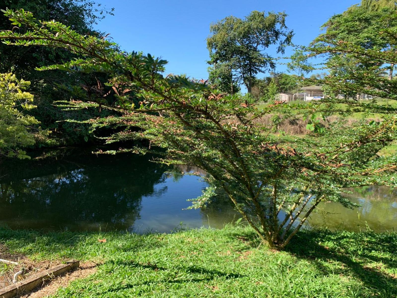 Birdsong lodge