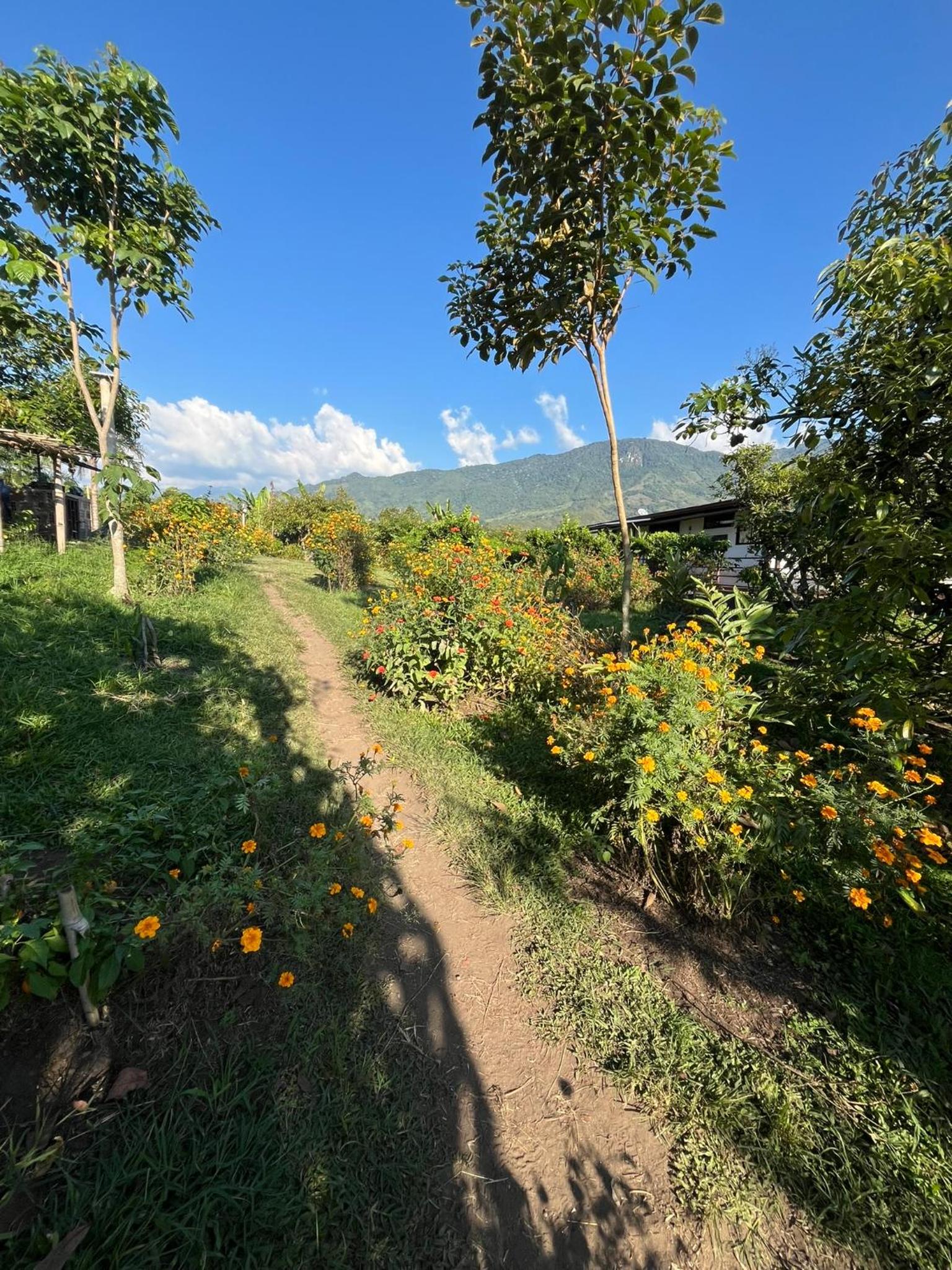 Finca Hotel San Miguel