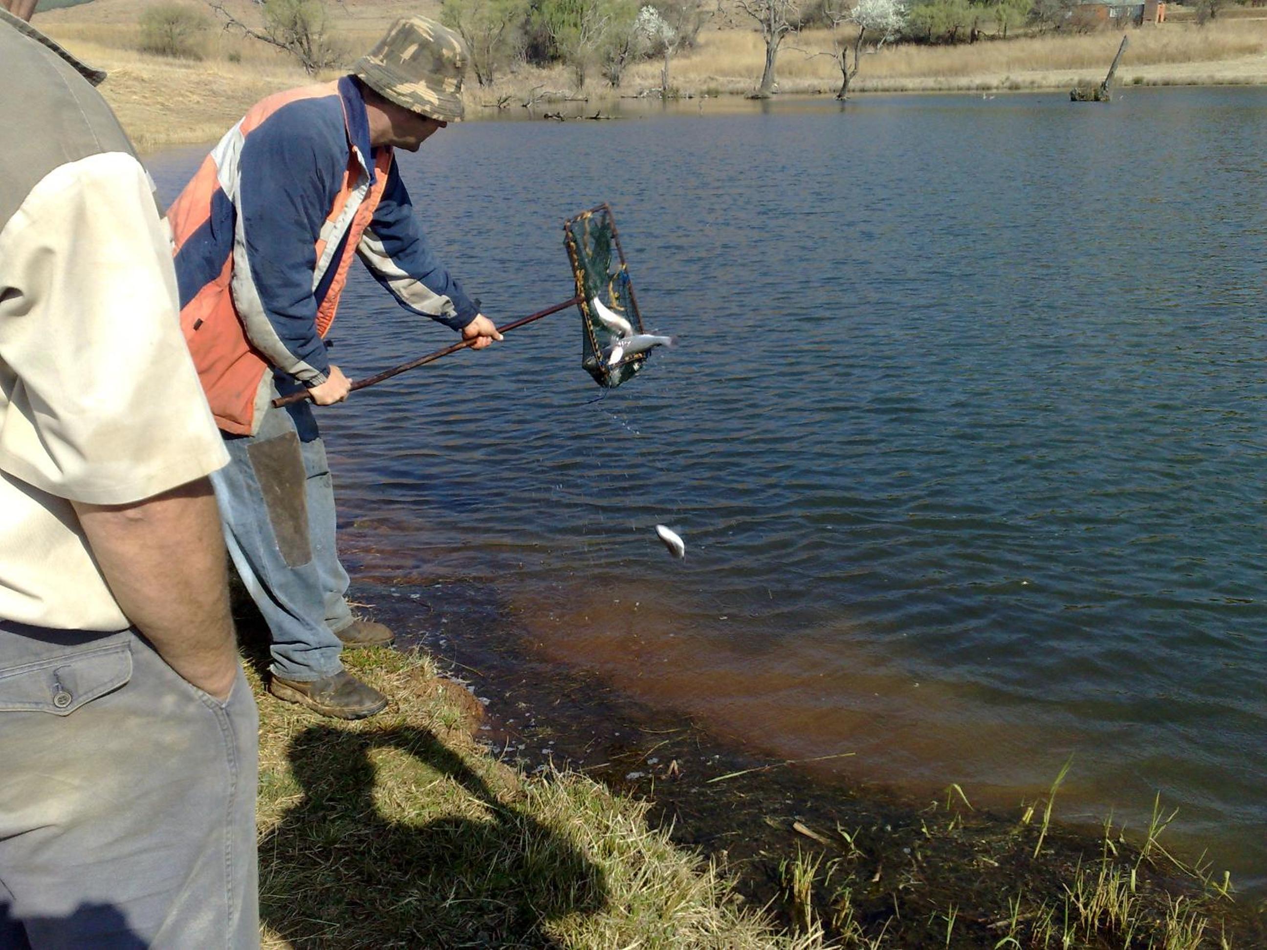 Photo 43