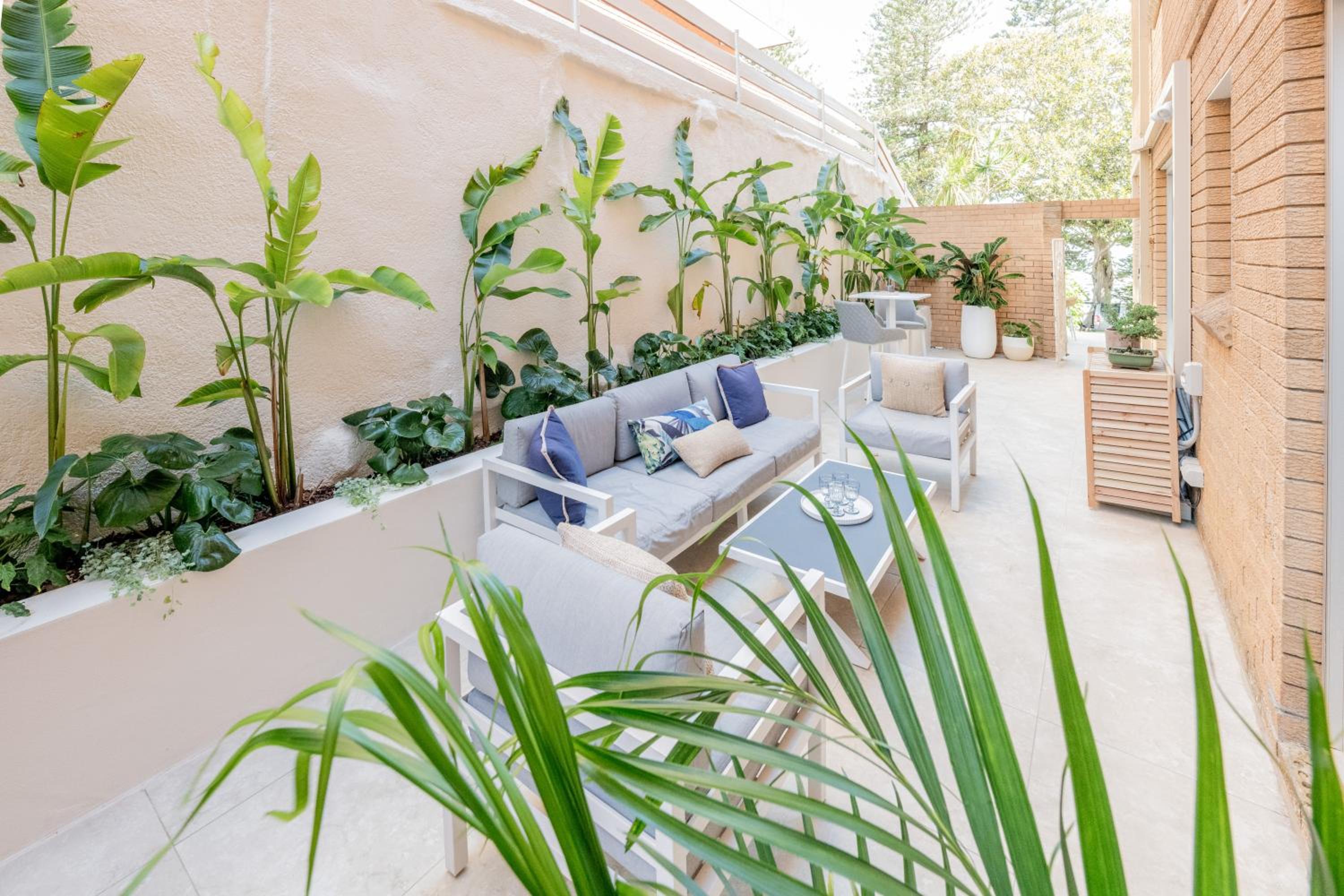 balance & terrace