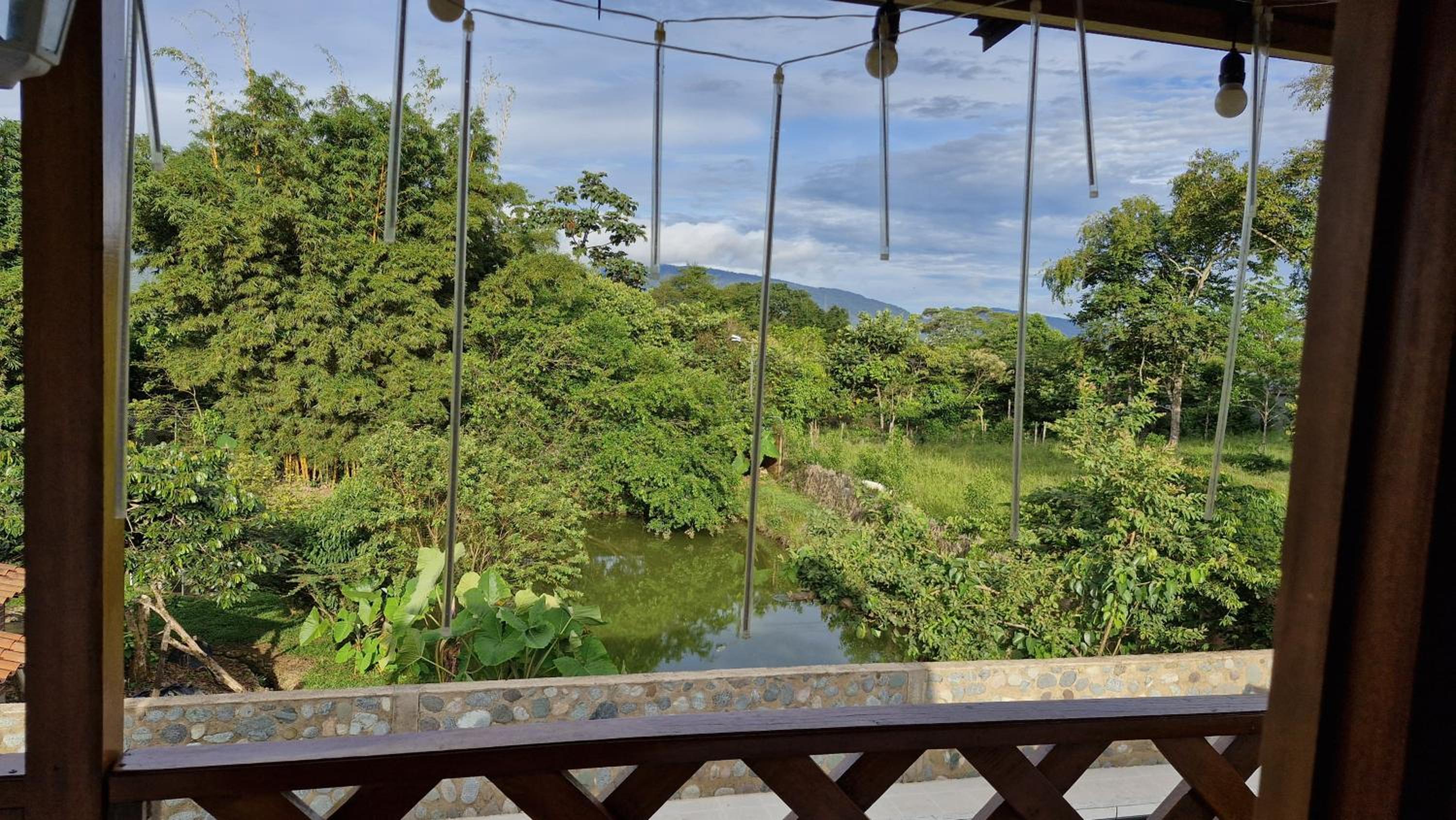 Birdsong lodge