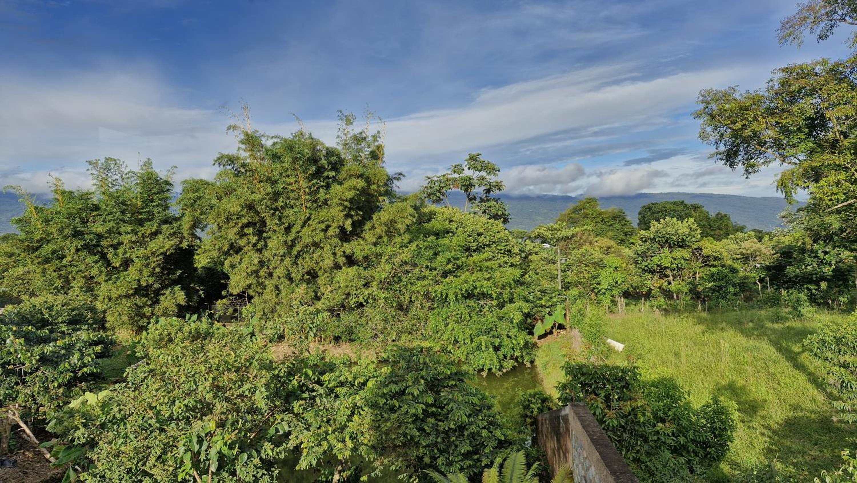 Birdsong lodge