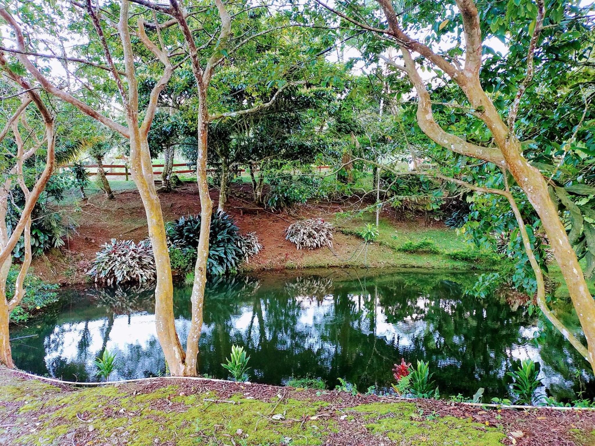 Cabaña Campo Verde