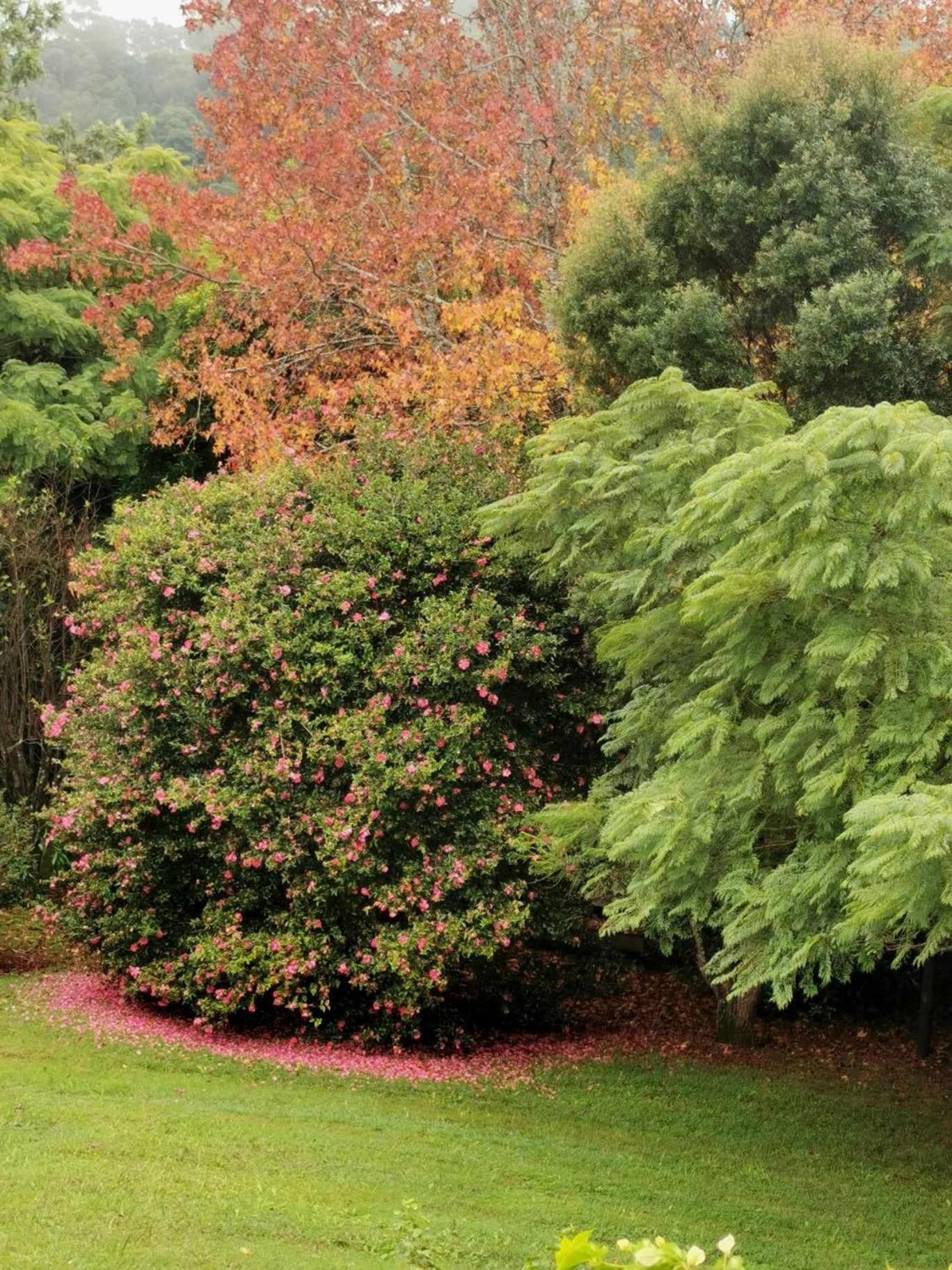 Wyndover Mountain Retreat