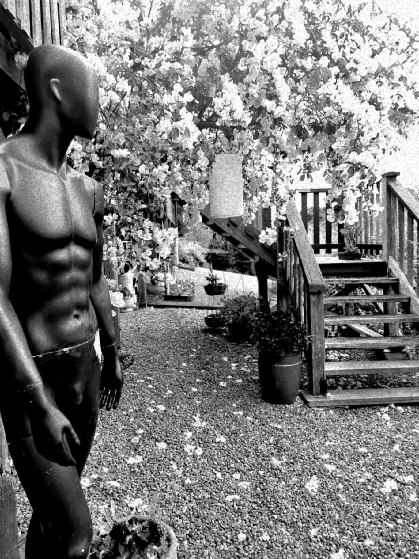 Wyndover Mountain Retreat