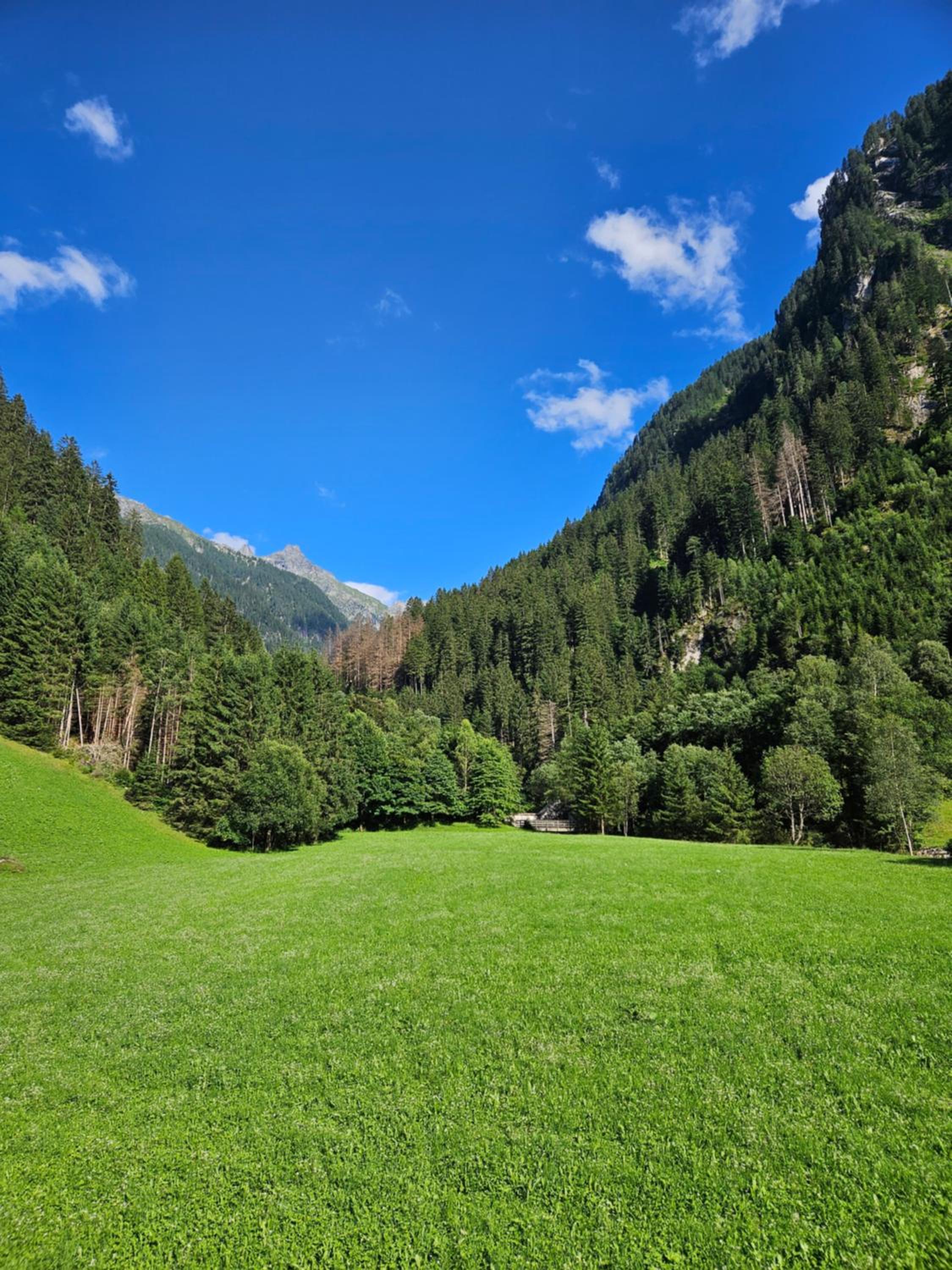 Apartment Wandegg im Bergsteigerdorf Ginzling Mayrhofen
