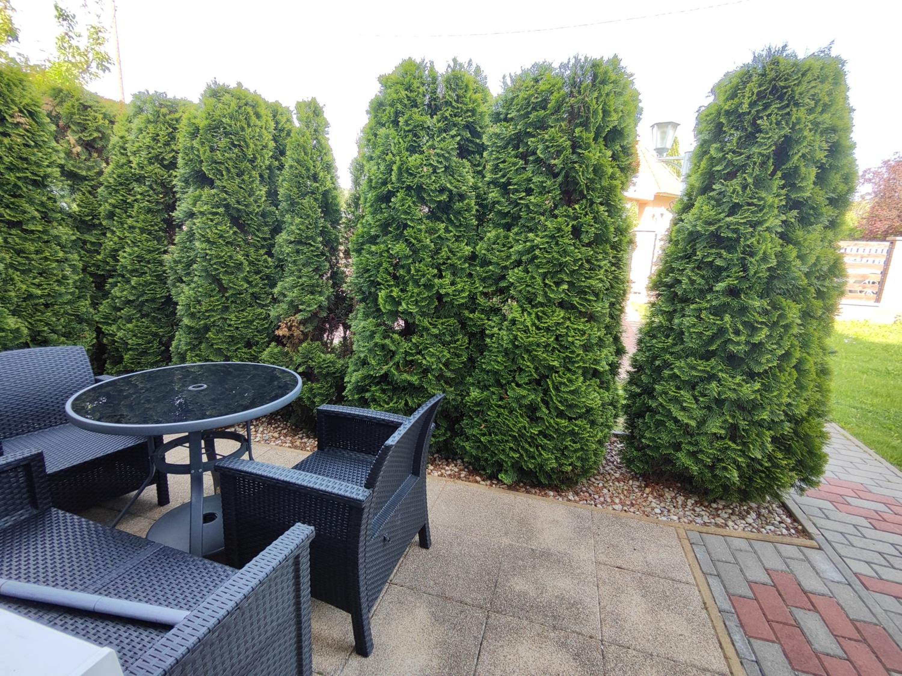 Photo 31