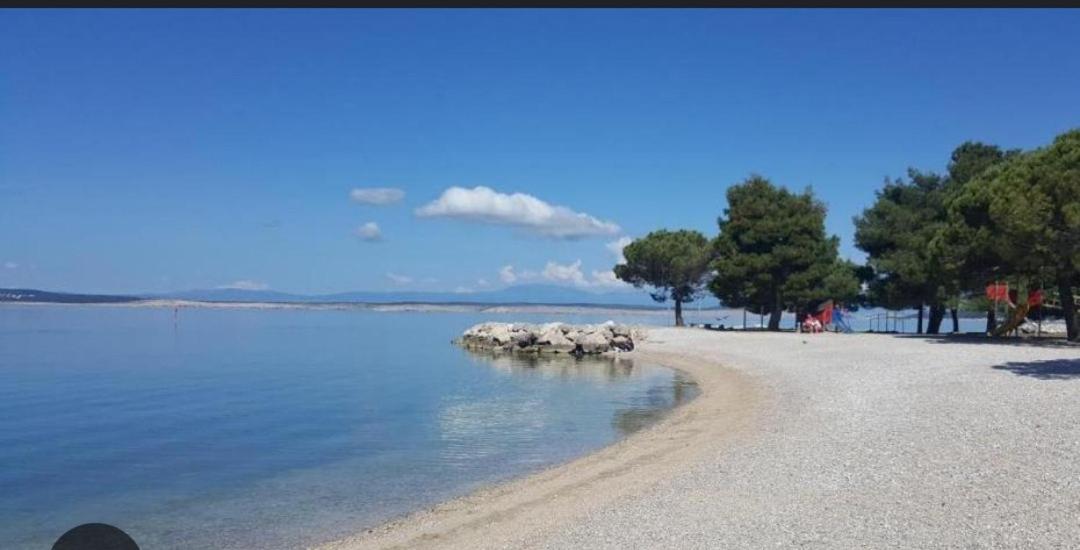 SilvioDino view 4