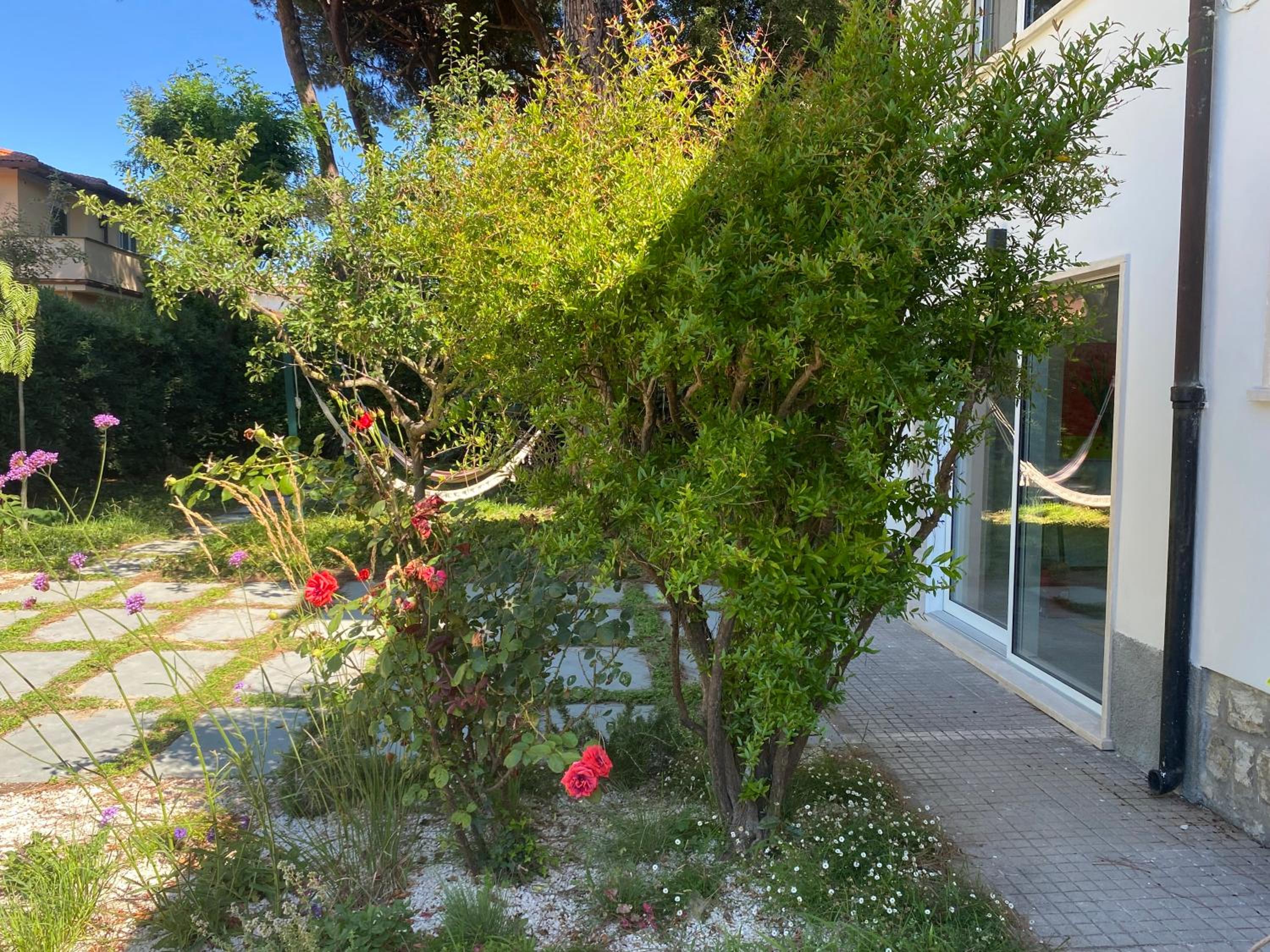 Villa Milina - a pochi passi dal mare view 2