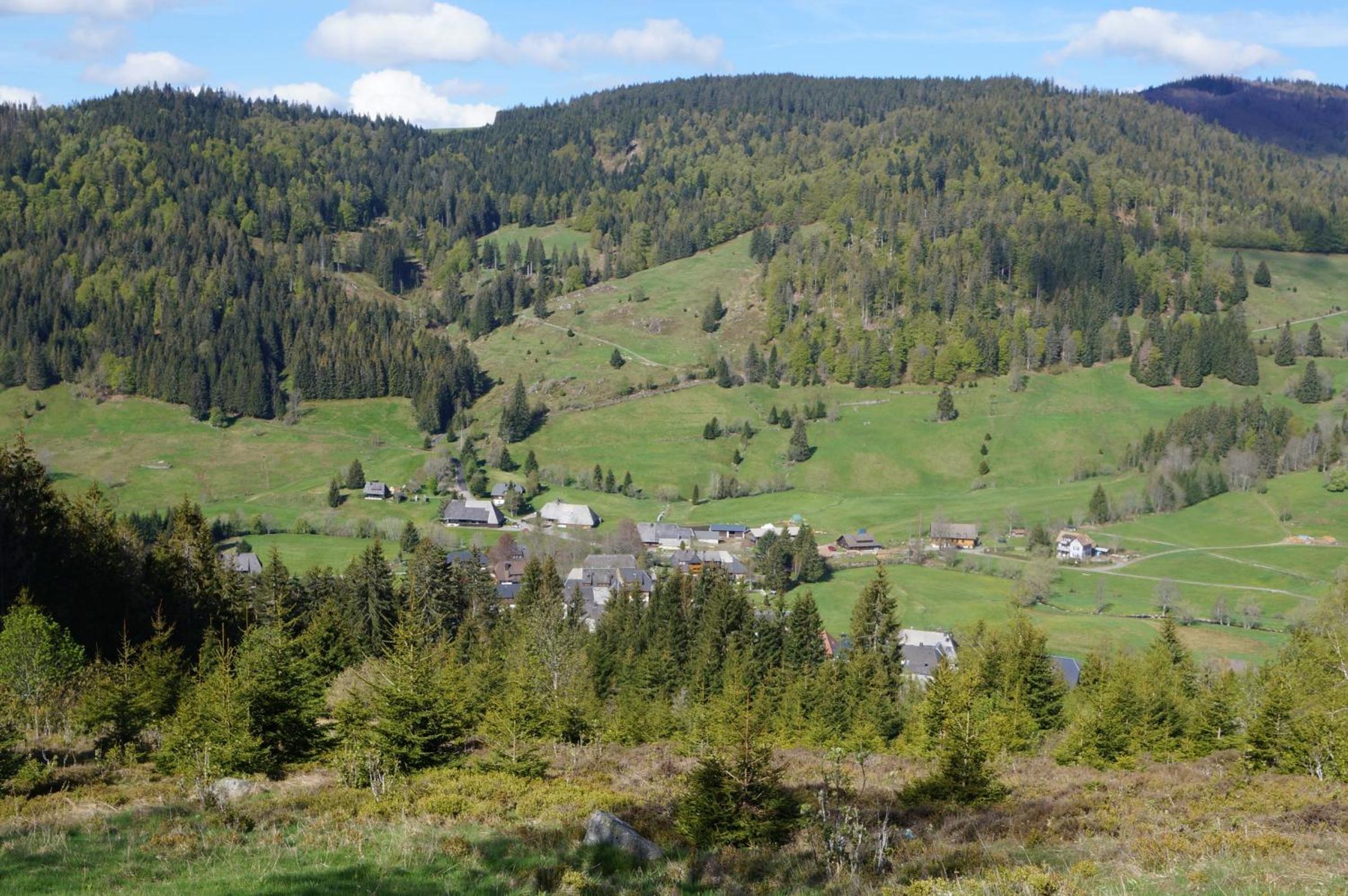 Photo 21