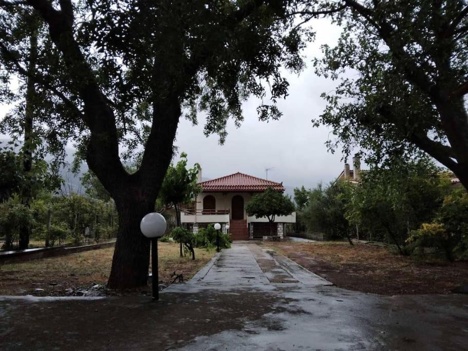 Cozy Country house view 2