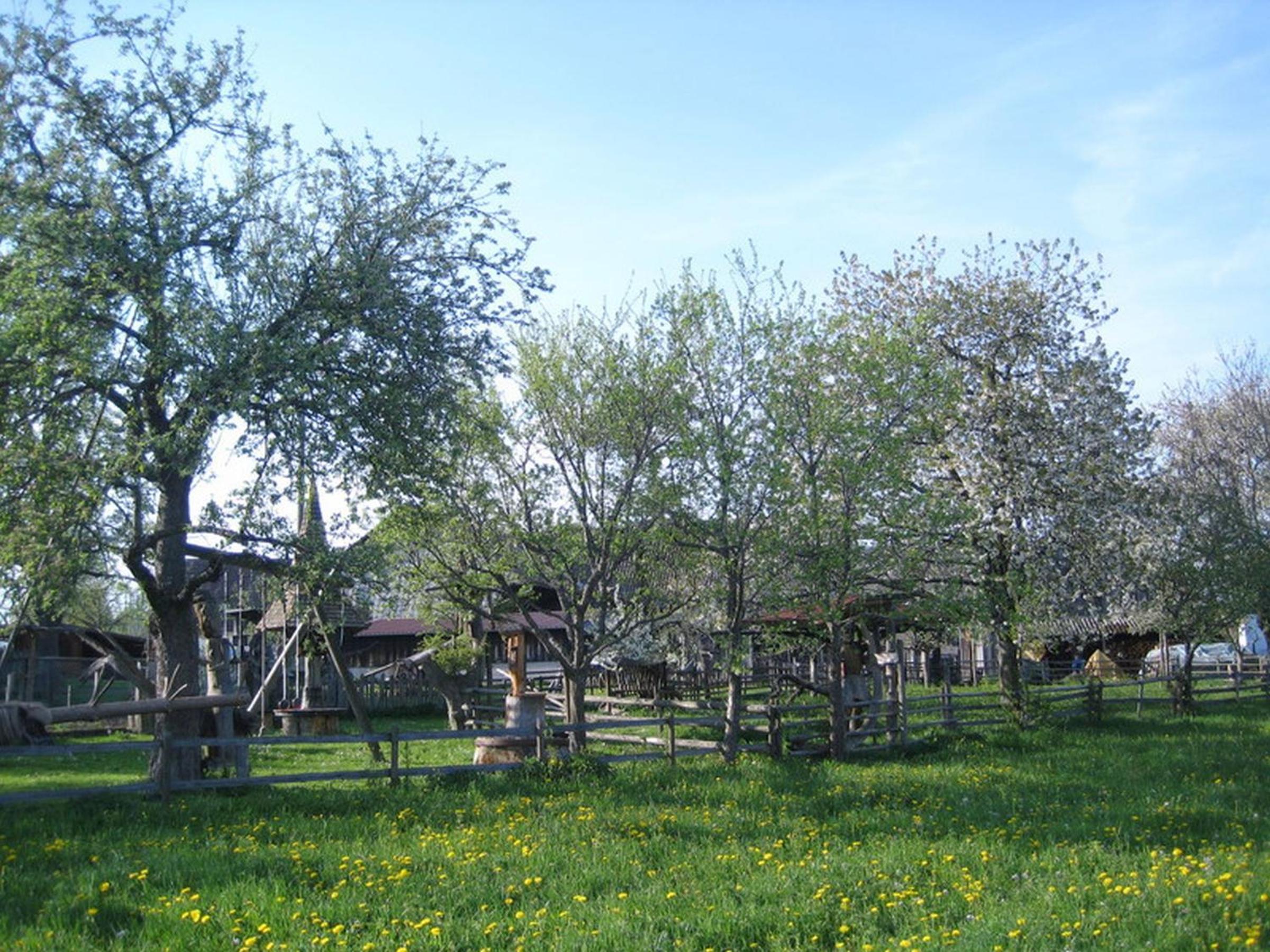 Pension Ferienwohnung Baarblick view 5
