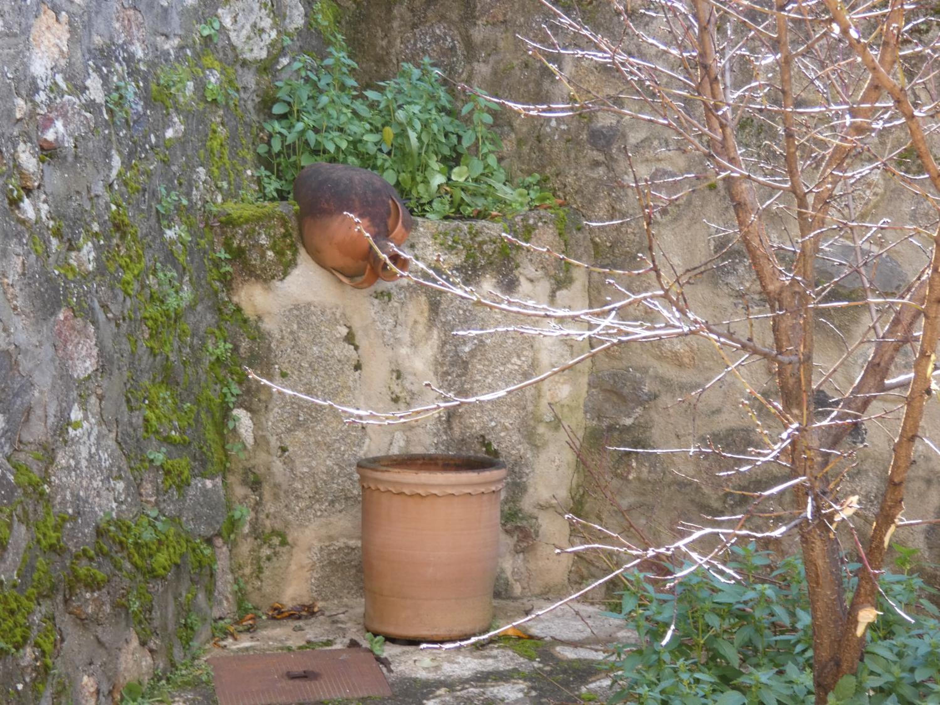 Casa Ledo