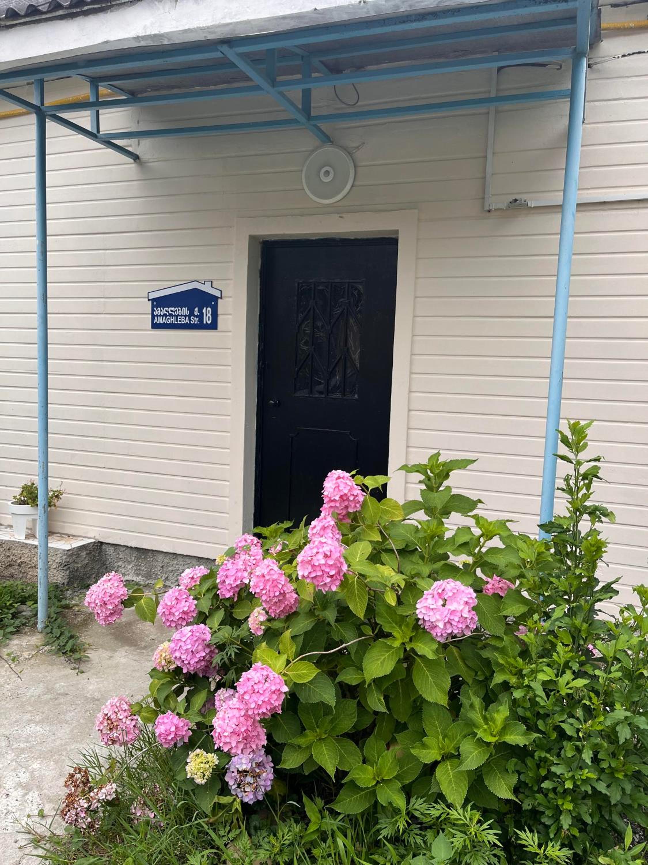 Almadovarhouse