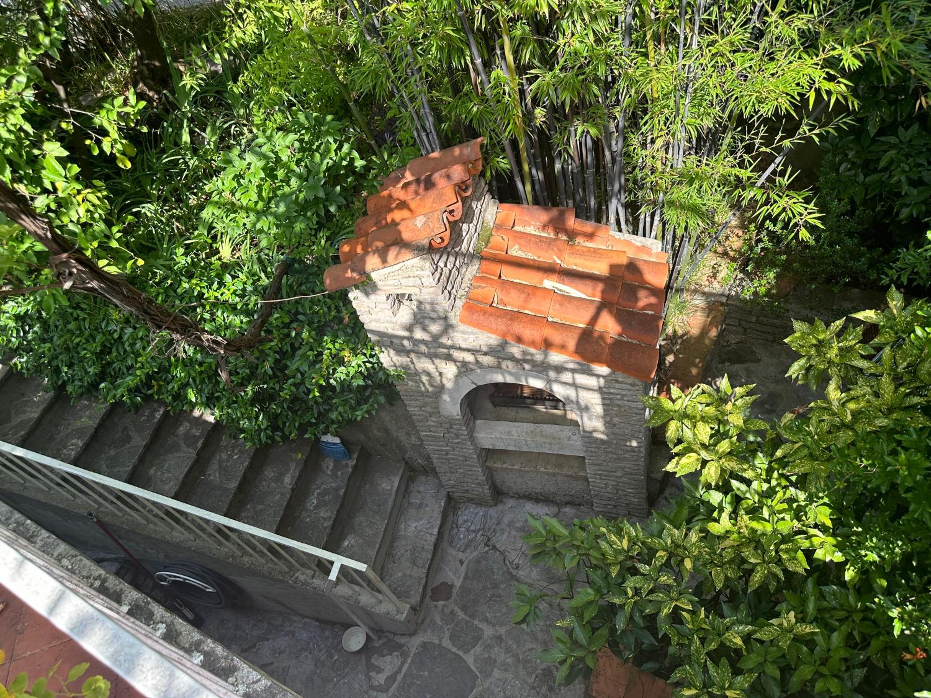 Photo 33