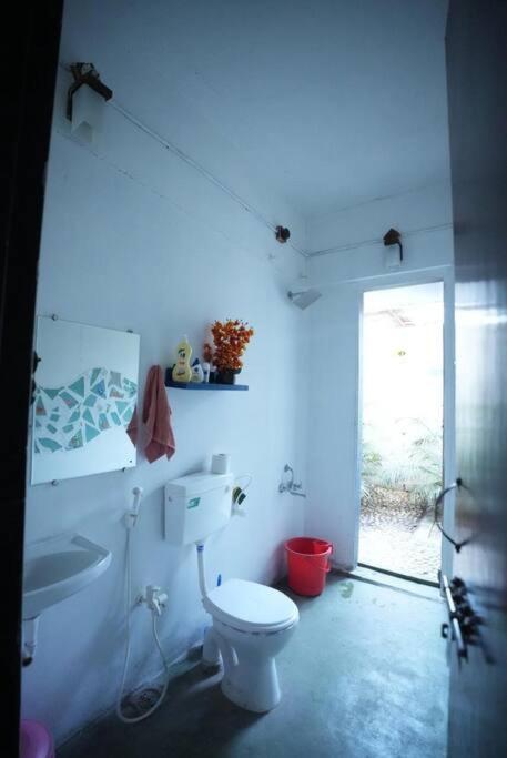 Photo 36