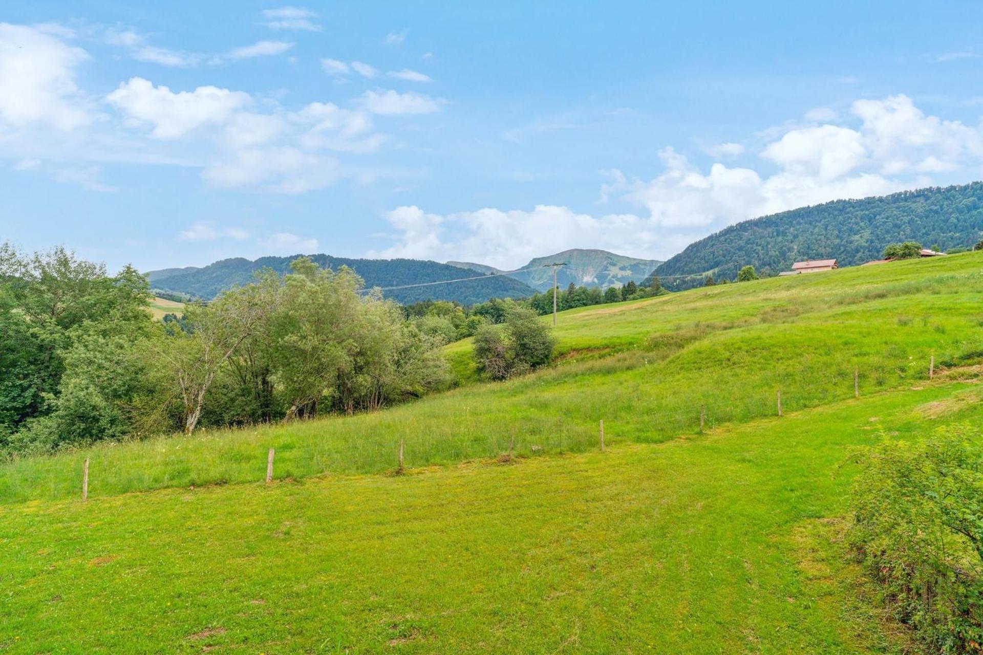 Fewo Roesle mit Hochgrat Blick