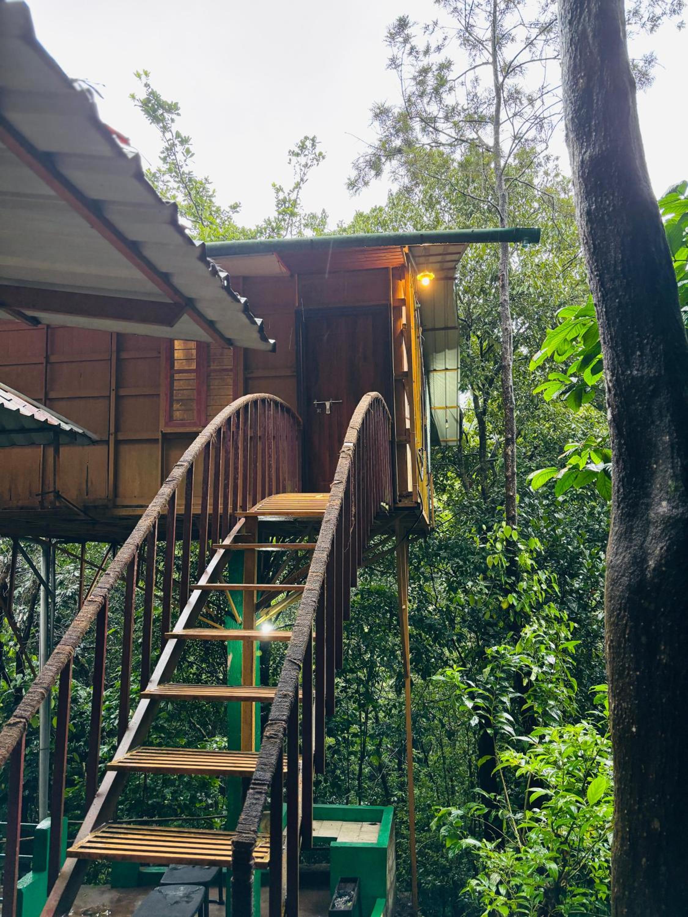 Forest Villa, Lakkidy, Wayanad view 2