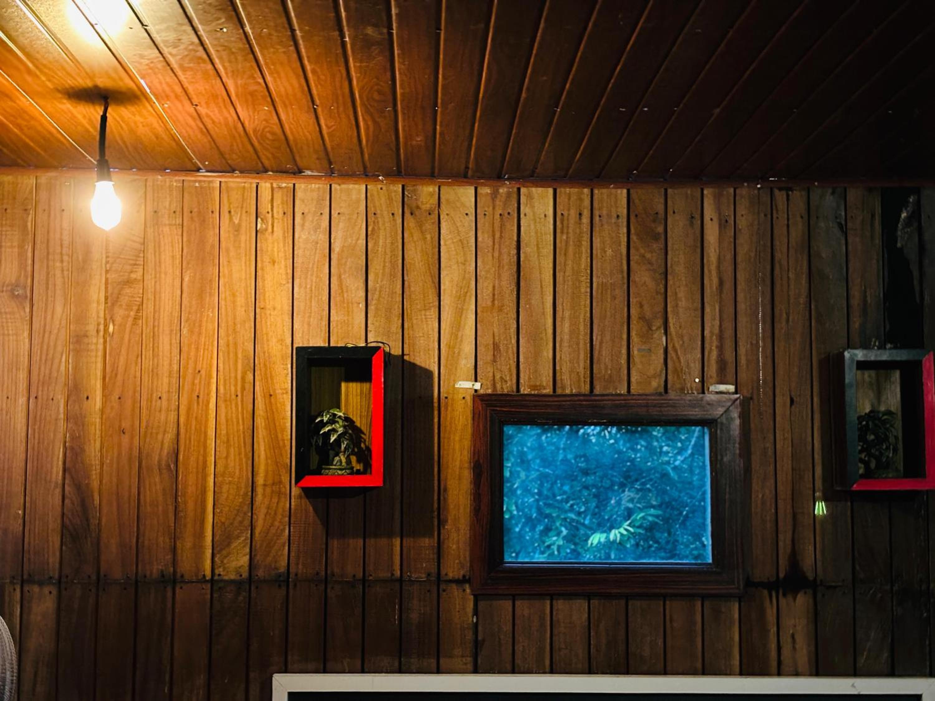 Forest Villa, Lakkidy, Wayanad view 3