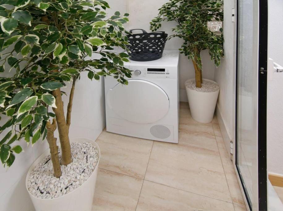 Apartamentos Puerto Nova photo 3