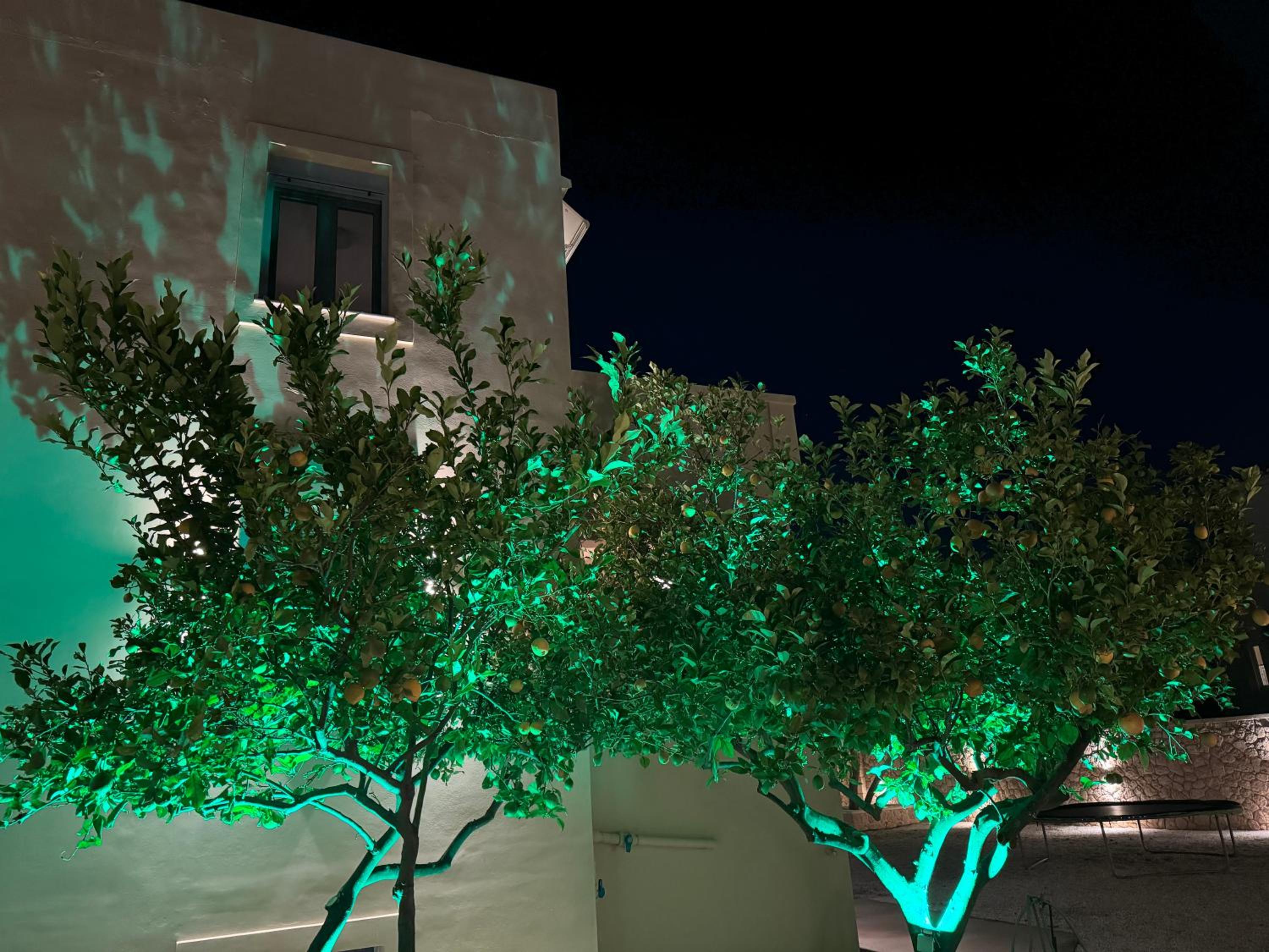 Villa Thea