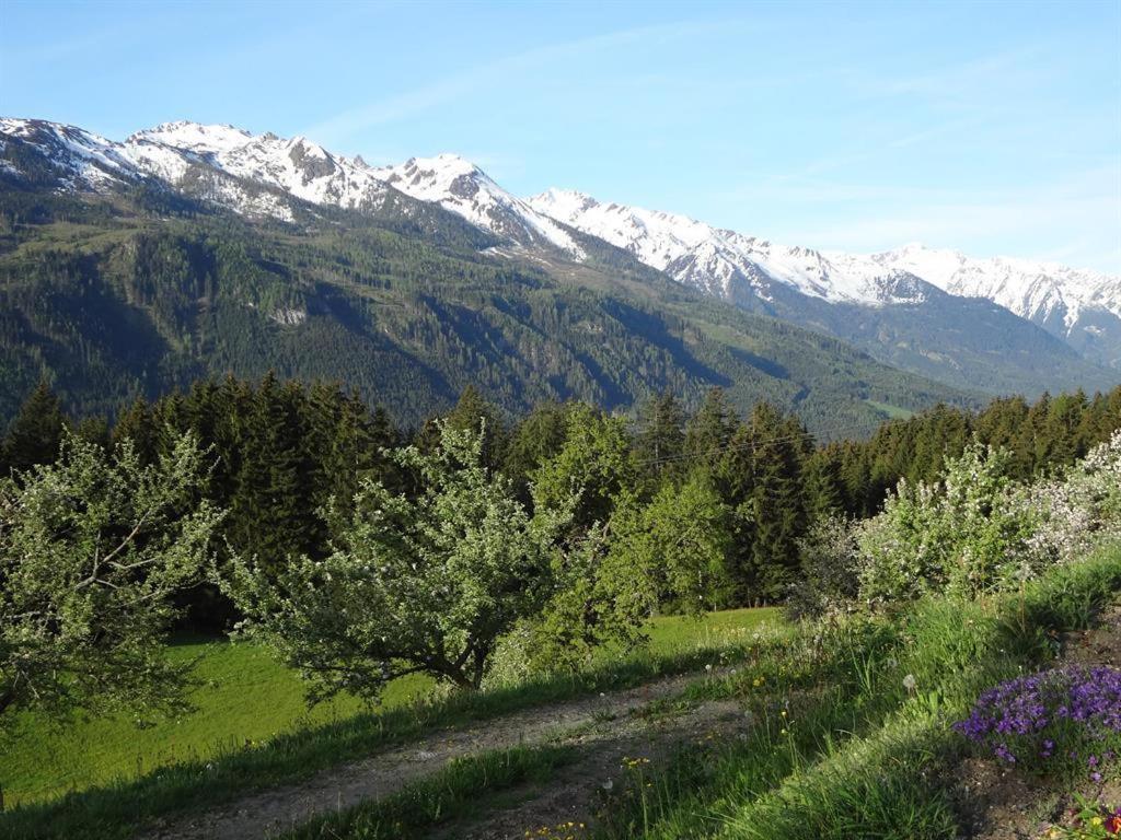 Seetalhof