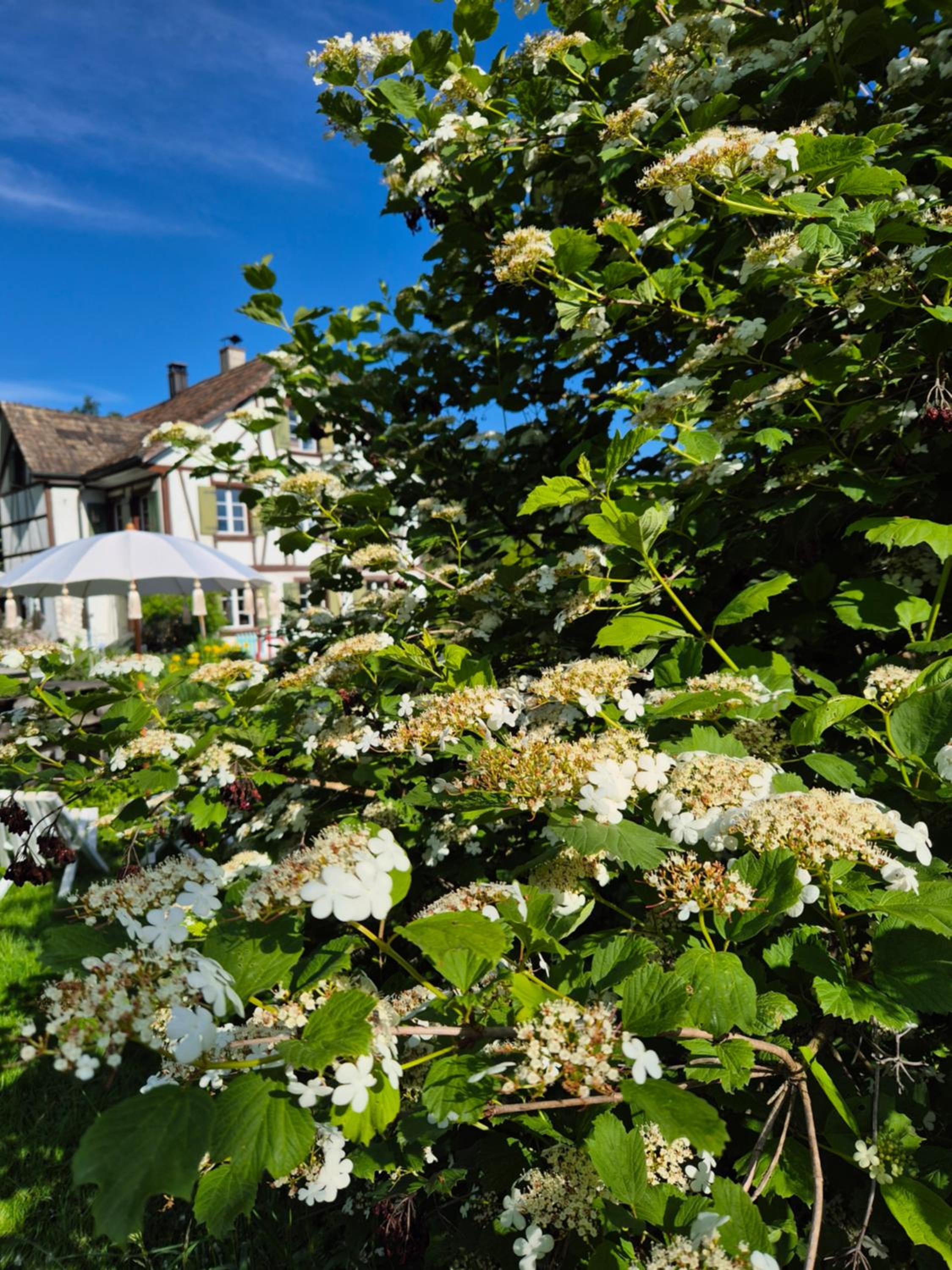 B&B Bad Tiefenau, HAUS AN DER QUELLE
