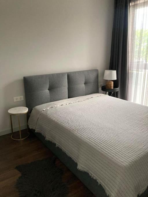 Vilnius Baltupiai home view 2