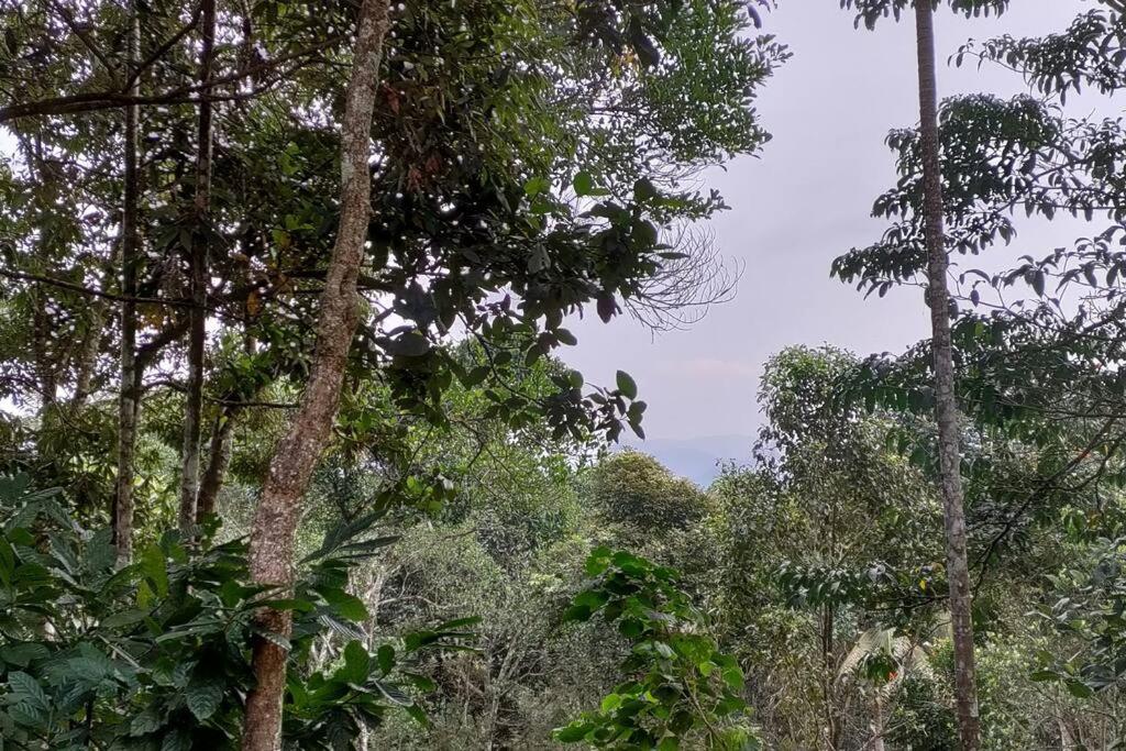 Coffee Camp Home Stay with Tree house