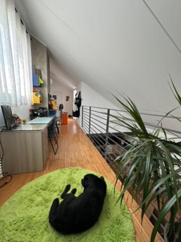 other