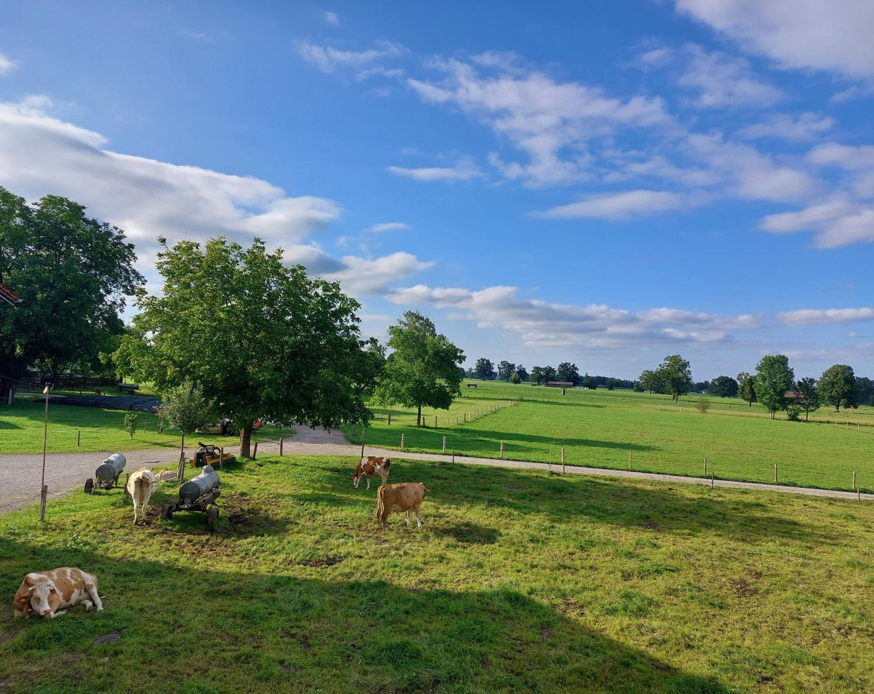 Ferien by Wallners