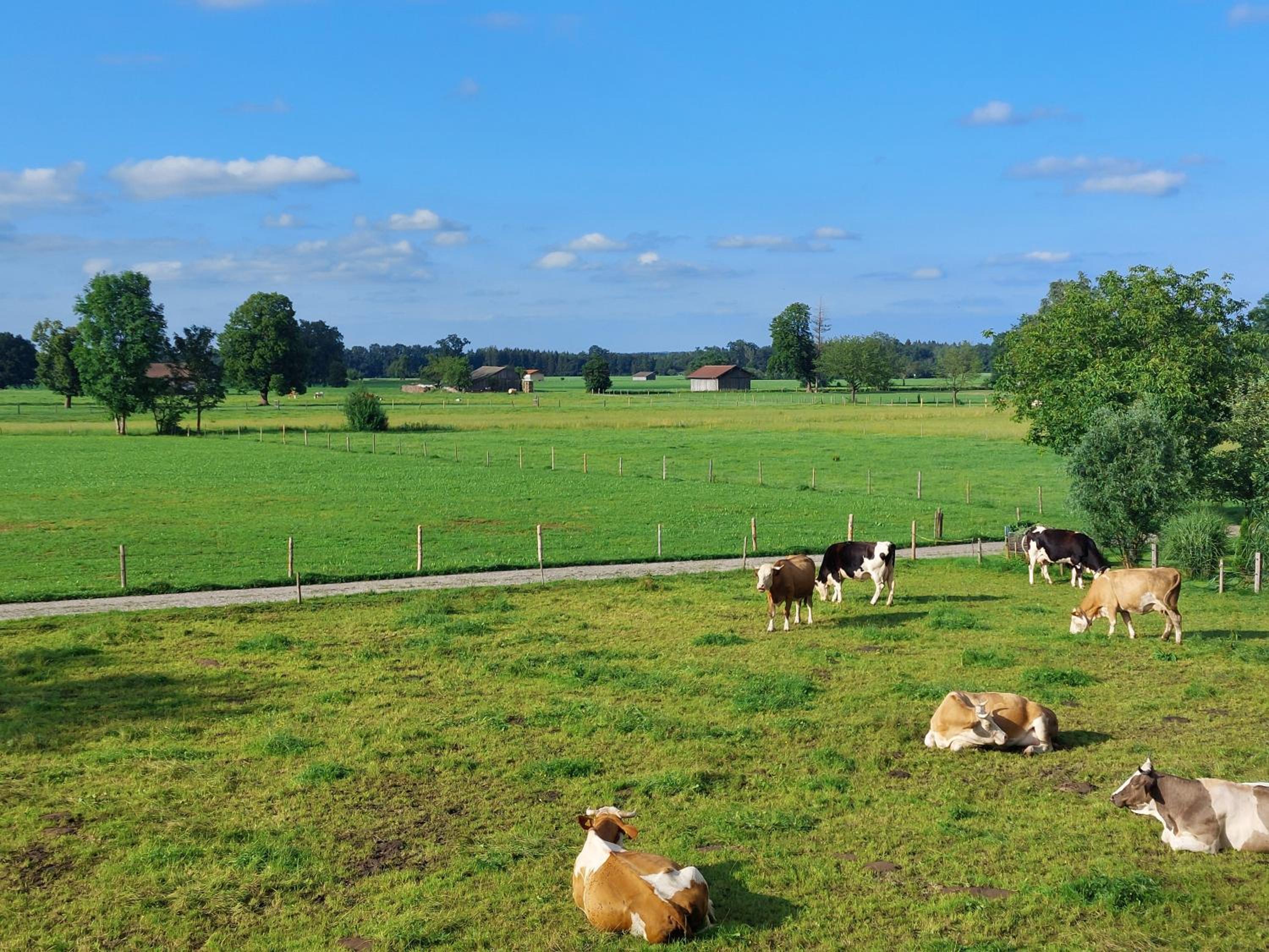 Ferien by Wallners