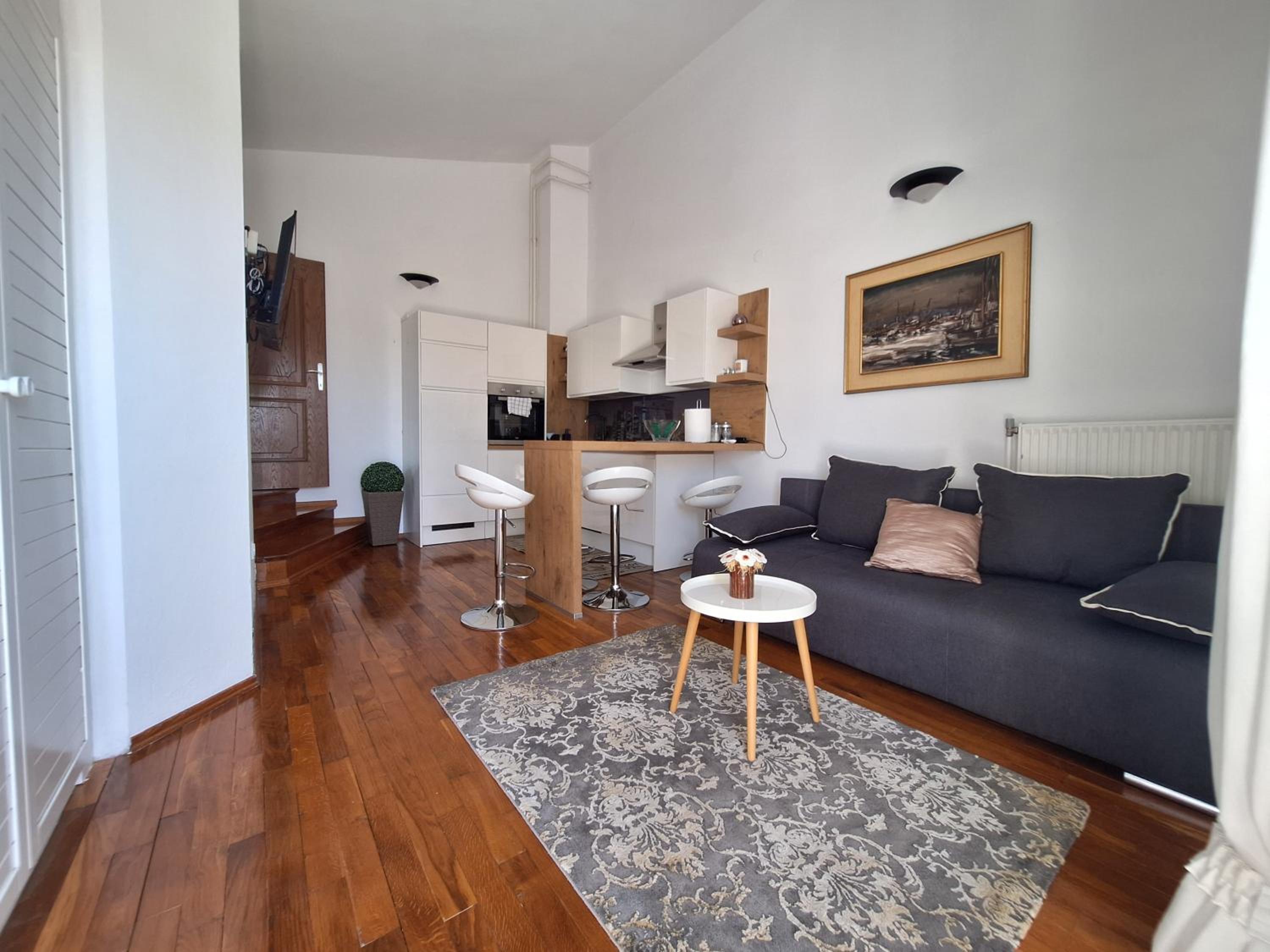 Apartment Seka with Terrace view 3