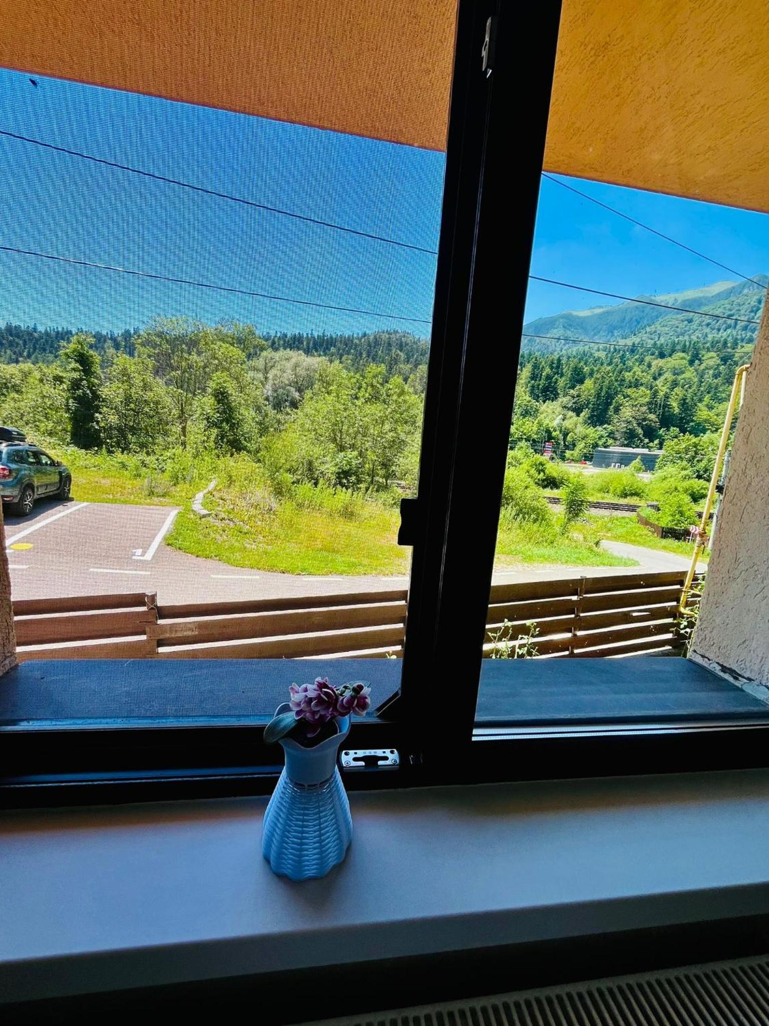 Pensiunea Roua - Mountain View