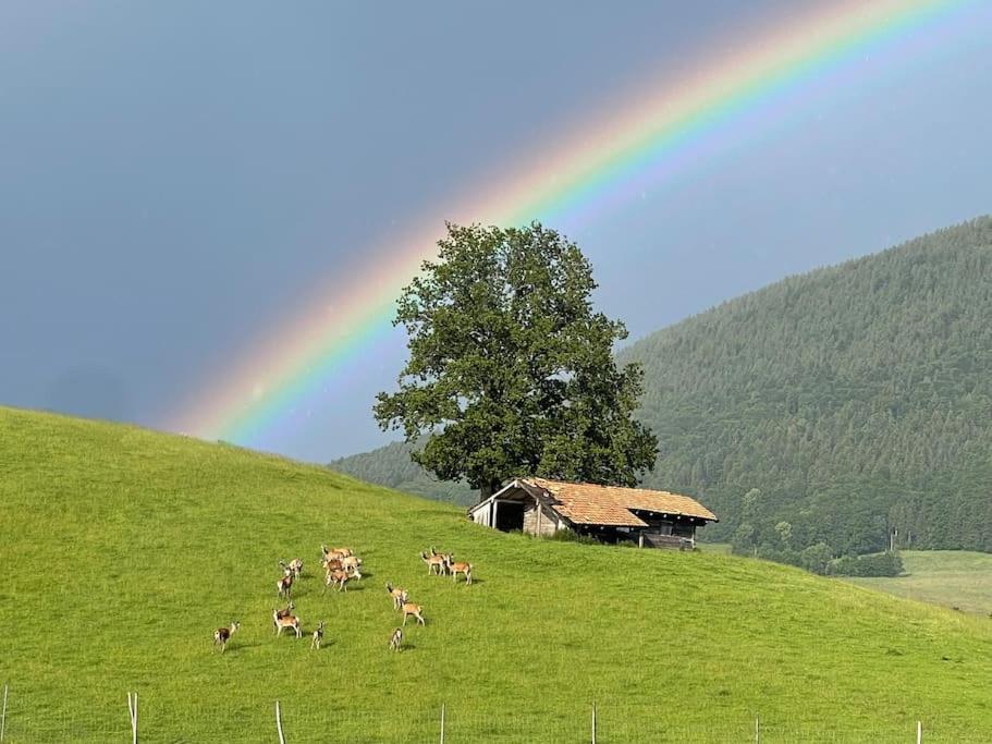 Traumhaus sensationeller Lage Traumhafter Bergblick absolute Ruhe