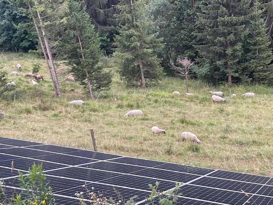 Traumhaus sensationeller Lage Traumhafter Bergblick absolute Ruhe