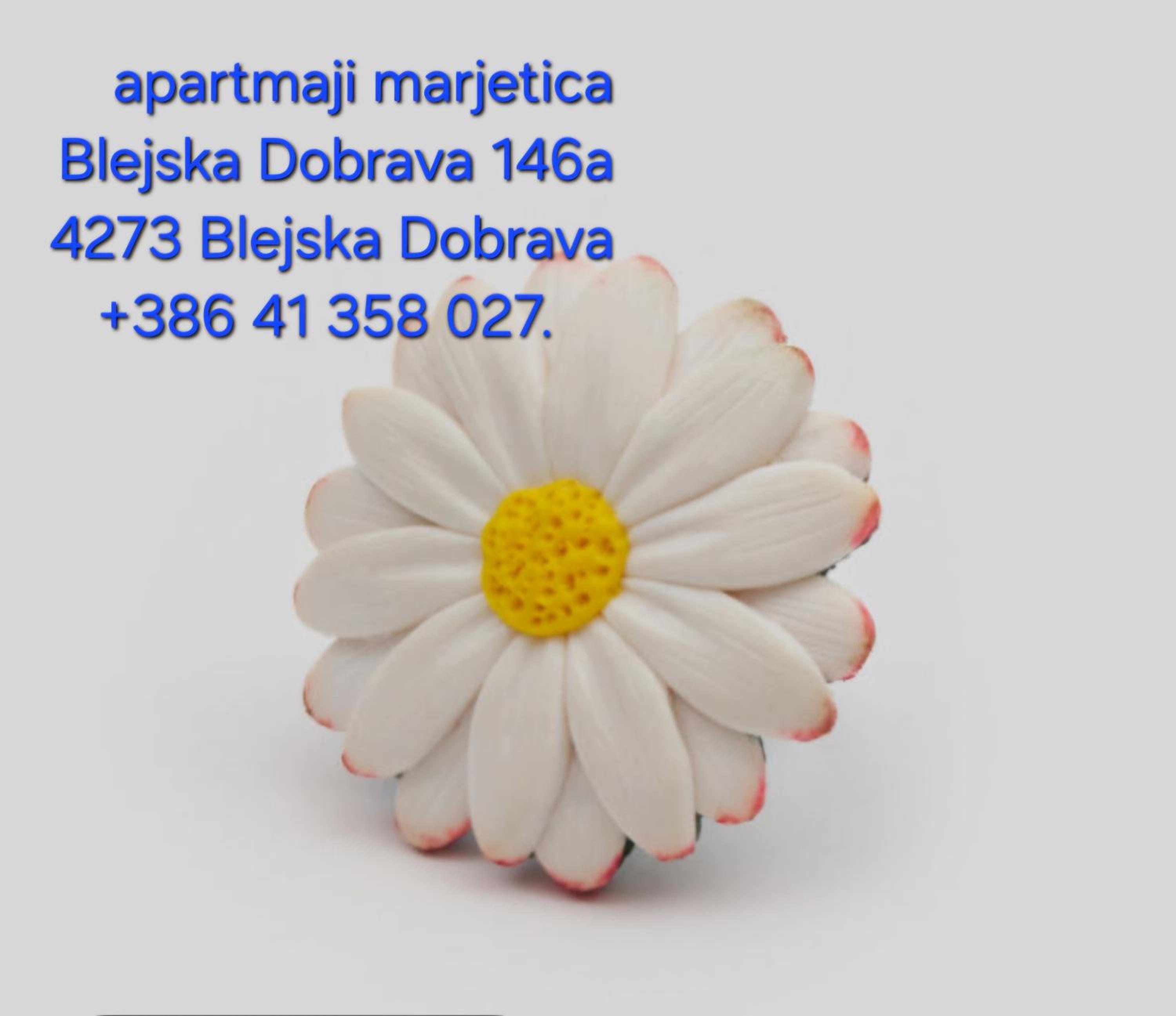 apartma Marjetica