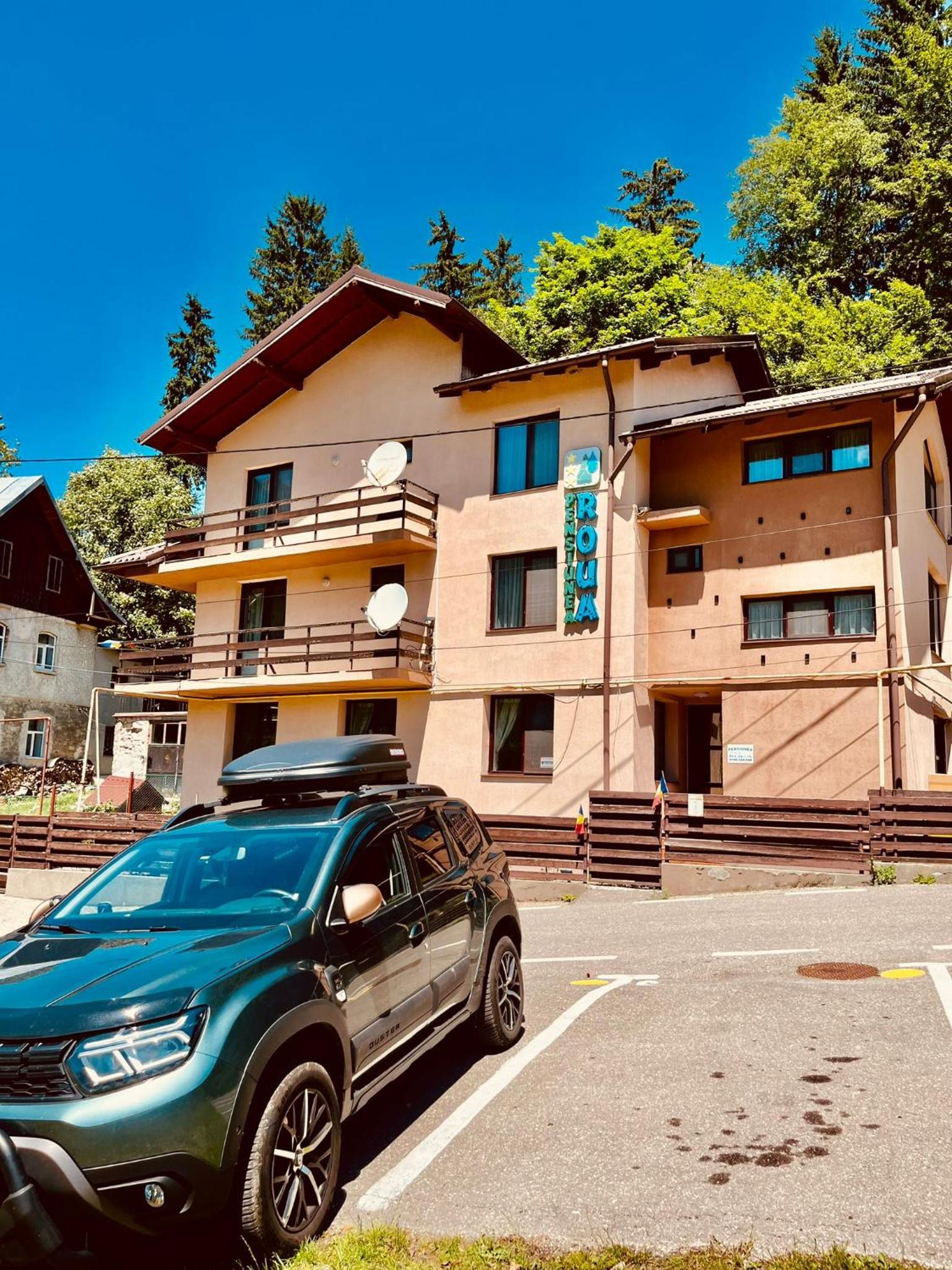 Pensiunea Roua - Mountain View