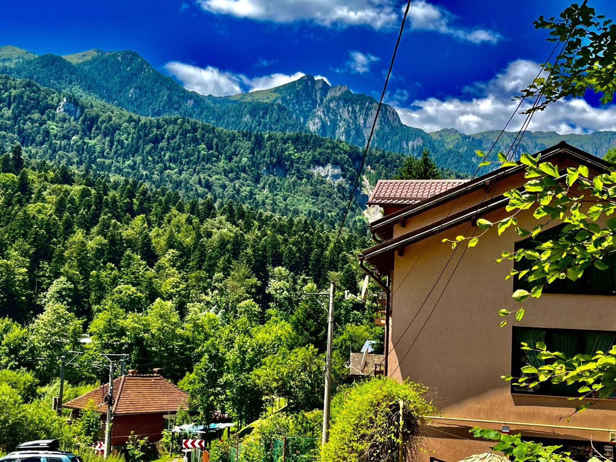 Pensiunea Roua - Mountain View